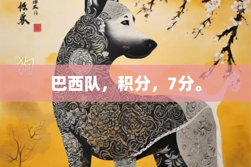 巴西队，积分，7分。洪湖市顺升工程机械租赁有限公司