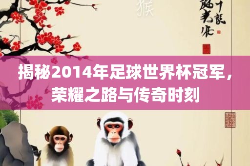 揭秘2014年足球世界杯冠军，荣耀之路与传奇时刻