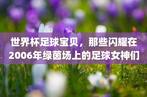 世界杯足球宝贝，那些闪耀在2006年绿茵场上的足球女神们洪湖市顺升工程机械租赁有限公司