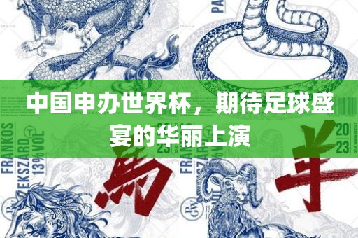 中国申办世界杯，期待足球盛宴的华丽上演洪湖市顺升工程机械租赁有限公司