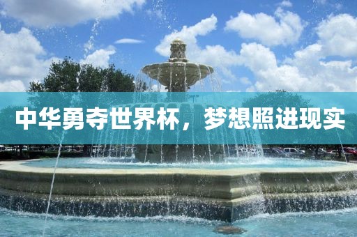 中华勇夺世界杯，梦想照进现实