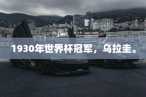 1930年世界杯冠军，乌拉圭。