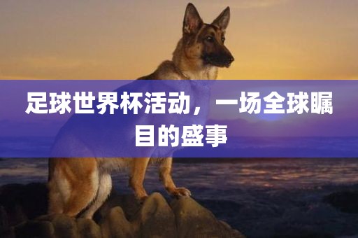 足球世界杯活动，一场全球瞩目的盛事洪湖市顺升工程机械租赁有限公司