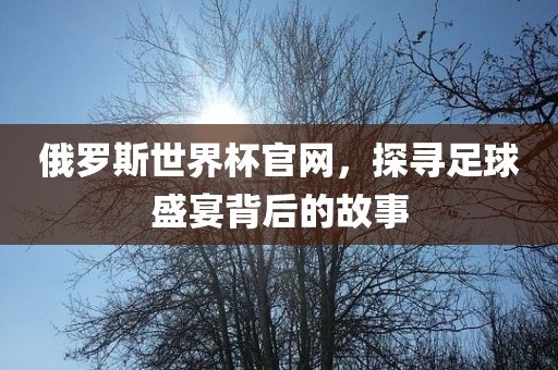 俄罗斯世界杯官网，探寻足球盛宴背后的故事洪湖市顺升工程机械租赁有限公司