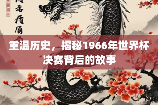 重温历史，揭秘1966年世界杯决赛背后的故事