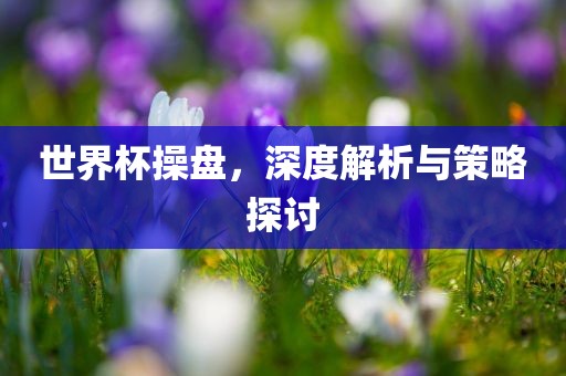 世界杯操盘，深度解析与策略探讨