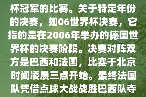 在世界杯历史上，决赛一般指的是小组赛后的最后一场比赛，决定哪支队伍能够赢得世界杯冠军的比赛。关于特定年份的决赛，如06世界杯洪湖市顺升工程机械租赁有限公司决赛，它指的是在2006年举办的德国世界杯的决赛阶段。决赛对阵双方是巴西和法国，比赛于北京时间凌晨三点开始。最终法国队凭借点球大战战胜巴西队夺得冠军。如需更多信息，可以关注FIFA官网发布的世界杯决赛相关内容。