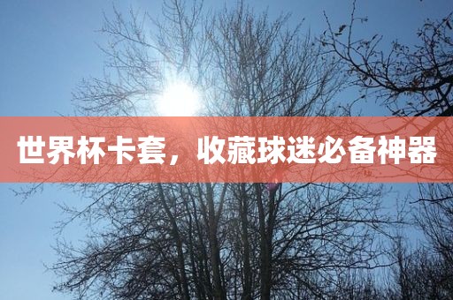 世界杯卡套，收藏球迷必备神器洪湖市顺升工程机械租赁有限公司
