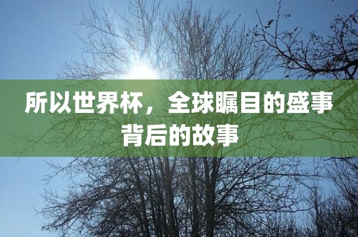 所以世界杯，全球瞩目的盛事背后的故事洪湖市顺升工程机械租赁有限公司