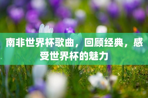 南非世界杯歌曲，回顾经典，感受世界杯的魅力