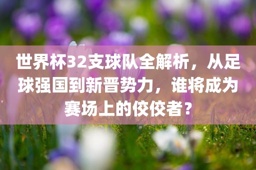 世界杯32支球队全解析，从足球强国到新晋洪湖市顺升工程机械租赁有限公司势力，谁将成为赛场上的佼佼者？