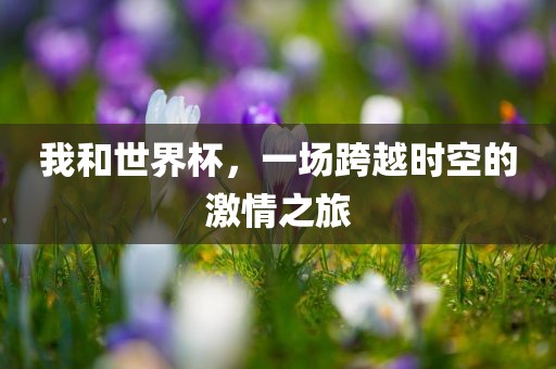 我和世界杯，一场跨越时空的激情之旅洪湖市顺升工程机械租赁有限公司