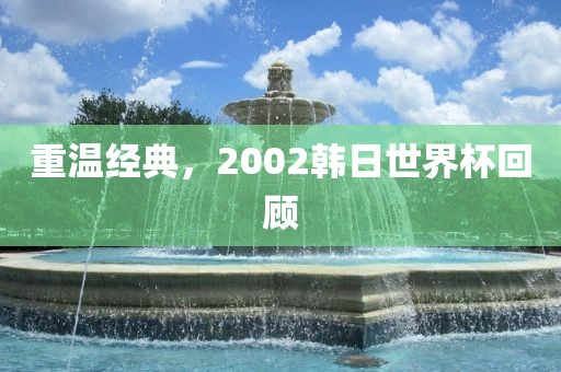 重温经典，2002韩日世界杯回顾洪湖市顺升工程机械租赁有限公司