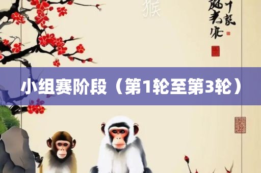 小组赛阶段（第1轮至第3轮）