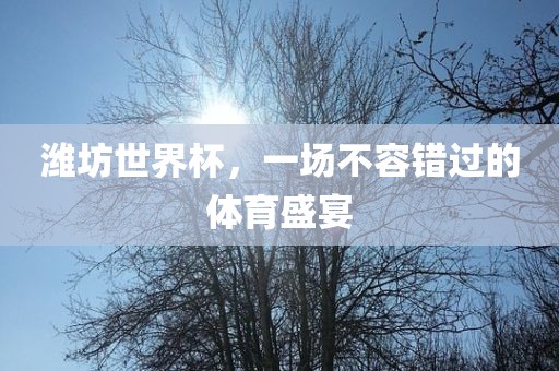潍坊世界杯，一场不容错过的体育盛宴洪湖市顺升工程机械租赁有限公司