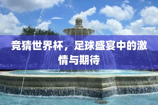 竞猜世界杯，足球盛宴中的激情与期待