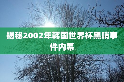 揭秘2002年韩国世界杯黑哨事件内幕