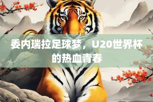 委内瑞拉足球梦，U20世界杯的热血青春