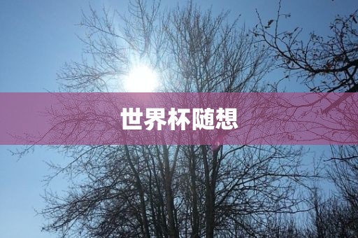 世界杯随想洪湖市顺升工程机械租赁有限公司