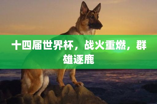 十四届世界杯，战火重燃，群雄逐鹿洪湖市顺升工程机械租赁有限公司