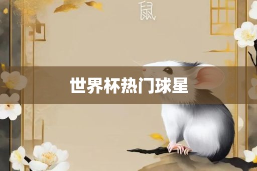 世界杯热门球星