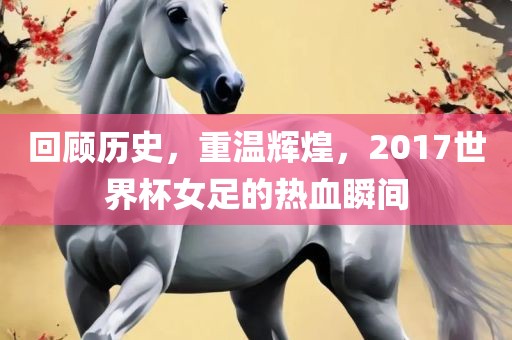 回顾历史，重温辉煌，201洪湖市顺升工程机械租赁有限公司7世界杯女足的热血瞬间