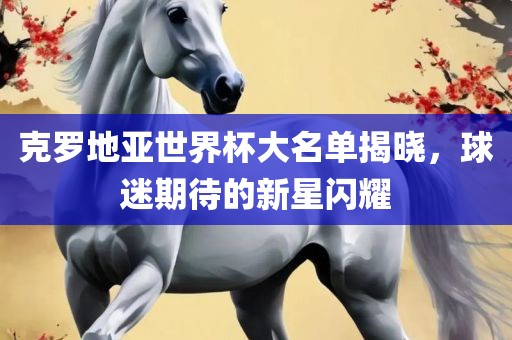 克罗地亚世界杯大名单揭晓，球迷期待的新星闪耀洪湖市顺升工程机械租赁有限公司