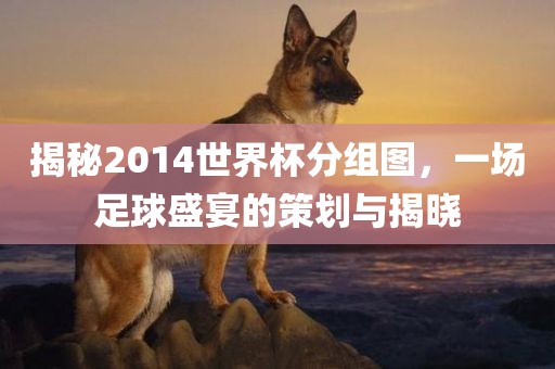 洪湖市顺升工程机械租赁有限公司揭秘2014世界杯分组图，一场足球盛宴的策划与揭晓