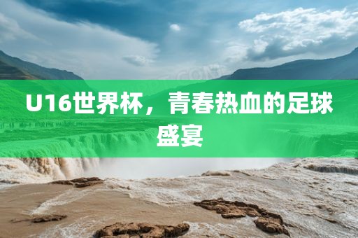 U16世界杯，青春热血的足球盛宴