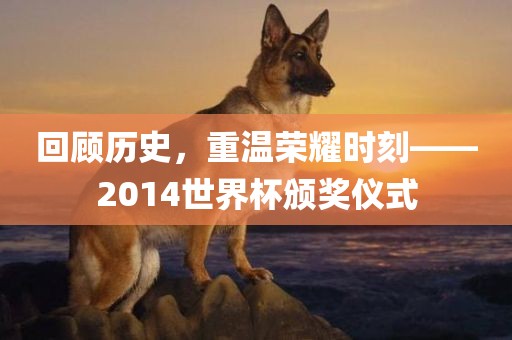 回顾历史，重温荣耀时刻——2014世界杯颁奖仪式洪湖市顺升工程机械租赁有限公司