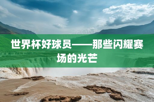世界杯好球员——那些闪耀赛场的光芒