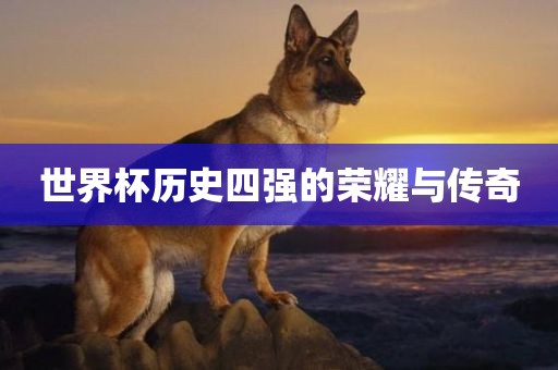 世界杯历史四强的荣耀与传奇洪湖市顺升工程机械租赁有限公司