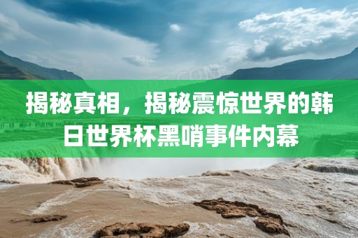 揭秘真相，揭秘震惊世界的韩日世界杯黑哨事件内幕