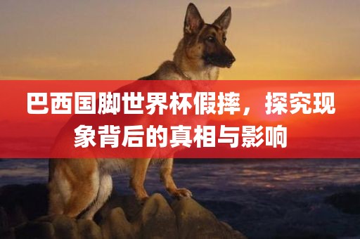 巴西国脚世界杯假摔，探究现象背后的真相与影响洪湖市顺升工程机械租赁有限公司