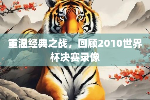 重温经典之战，回顾2010世界杯决赛录像