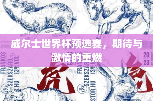 威尔士世界杯预选赛，期待与激情的重燃