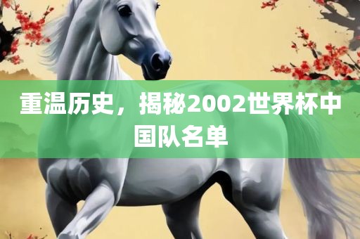 重温历史，揭秘2002世界杯中国队名单