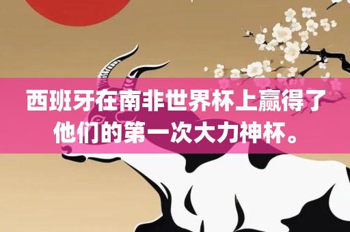 西班牙在南非世界杯上赢得了他们的第一次大力神杯。