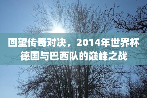 回望传奇对决，2014年世界杯德国与巴西队的巅峰之战洪湖市顺升工程机械租赁有限公司