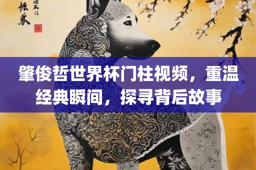 肇俊哲世界杯门柱视频，重温经典瞬间，探寻背后故事