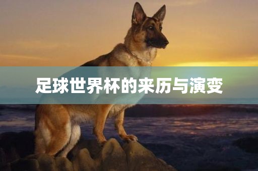 足球世界杯的来历与演变洪湖市顺升工程机械租赁有限公司