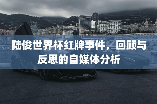 陆俊世界杯红牌事件，回顾与反思的自媒体分析洪湖市顺升工程机械租赁有限公司