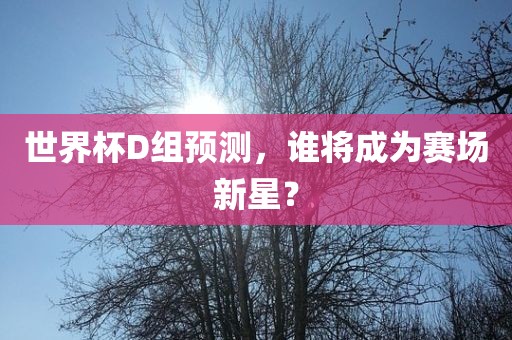 世界杯D组预测，谁将洪湖市顺升工程机械租赁有限公司成为赛场新星？