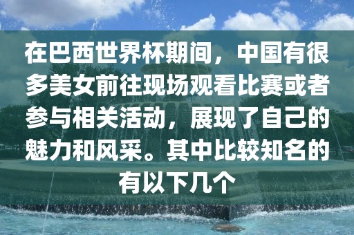 巴西世界杯 第14页