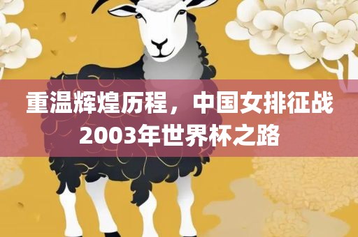 重温辉煌历程，中国女排征战2003年世界杯之路