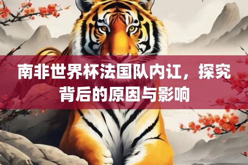 南非世界杯法国队内讧，探究背后的原因与影响