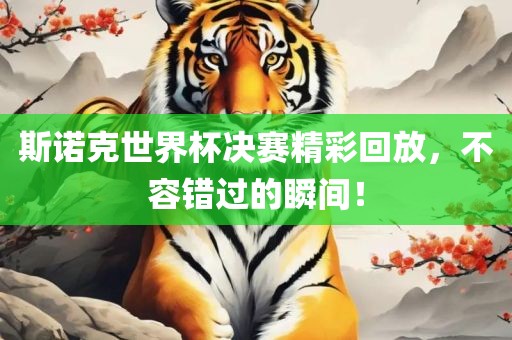 斯诺克世界杯决赛精彩回放，不容错过的瞬间！