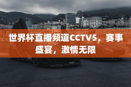 世界杯直播频道CCTV5，赛事盛宴，激情无限