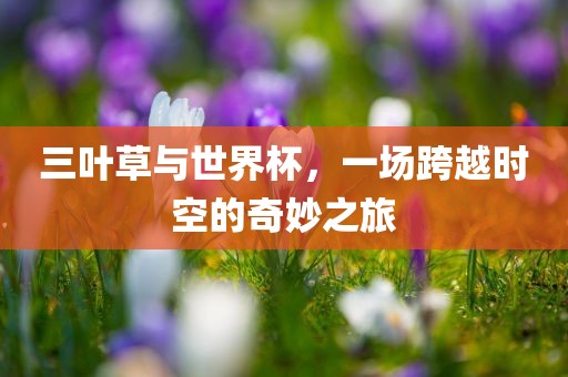 三叶草与世界杯，一场跨越时空的奇妙之旅