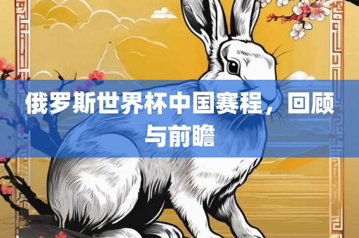 俄罗斯世界杯 第4页